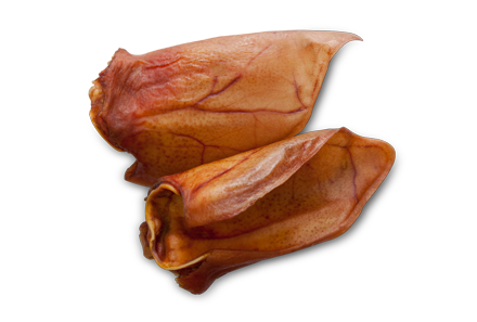 Svinjske uši