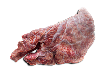 Pluća