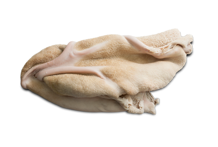 Škembići