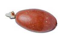 Mortadela