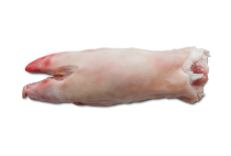 Nogice
