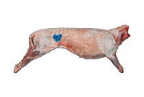 Polovina jagnjeta Polovina jagnjeta